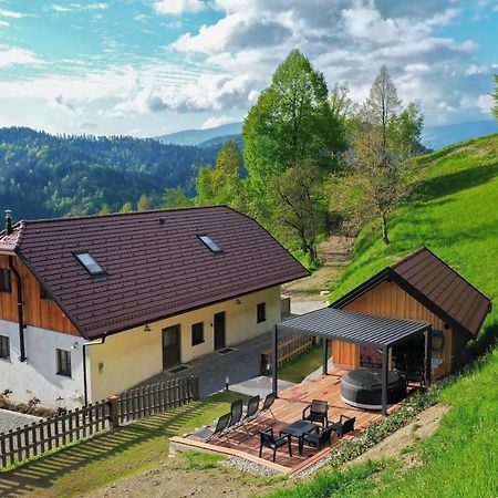 Villa Richterberg With Sauna & Hot Tub スロヴェニ・グラデツ エクステリア 写真