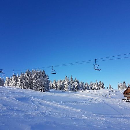 Villa Richterberg With Sauna & Hot Tub スロヴェニ・グラデツ エクステリア 写真