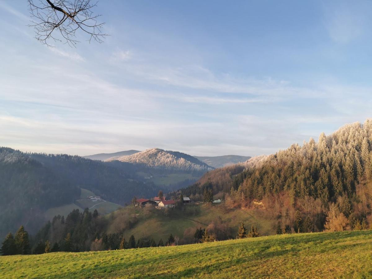 Villa Richterberg With Sauna & Hot Tub スロヴェニ・グラデツ エクステリア 写真