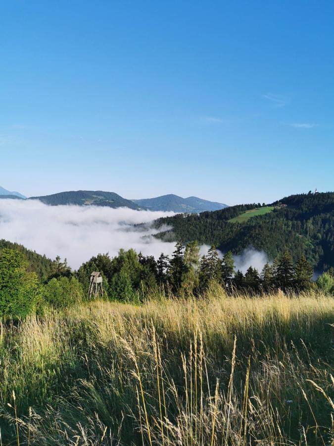 Villa Richterberg With Sauna & Hot Tub スロヴェニ・グラデツ エクステリア 写真