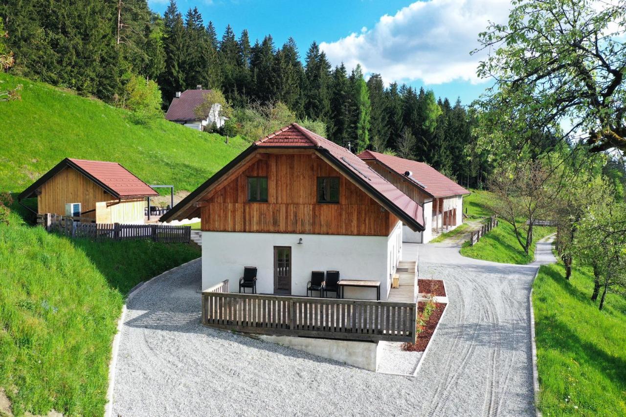 Villa Richterberg With Sauna & Hot Tub スロヴェニ・グラデツ エクステリア 写真