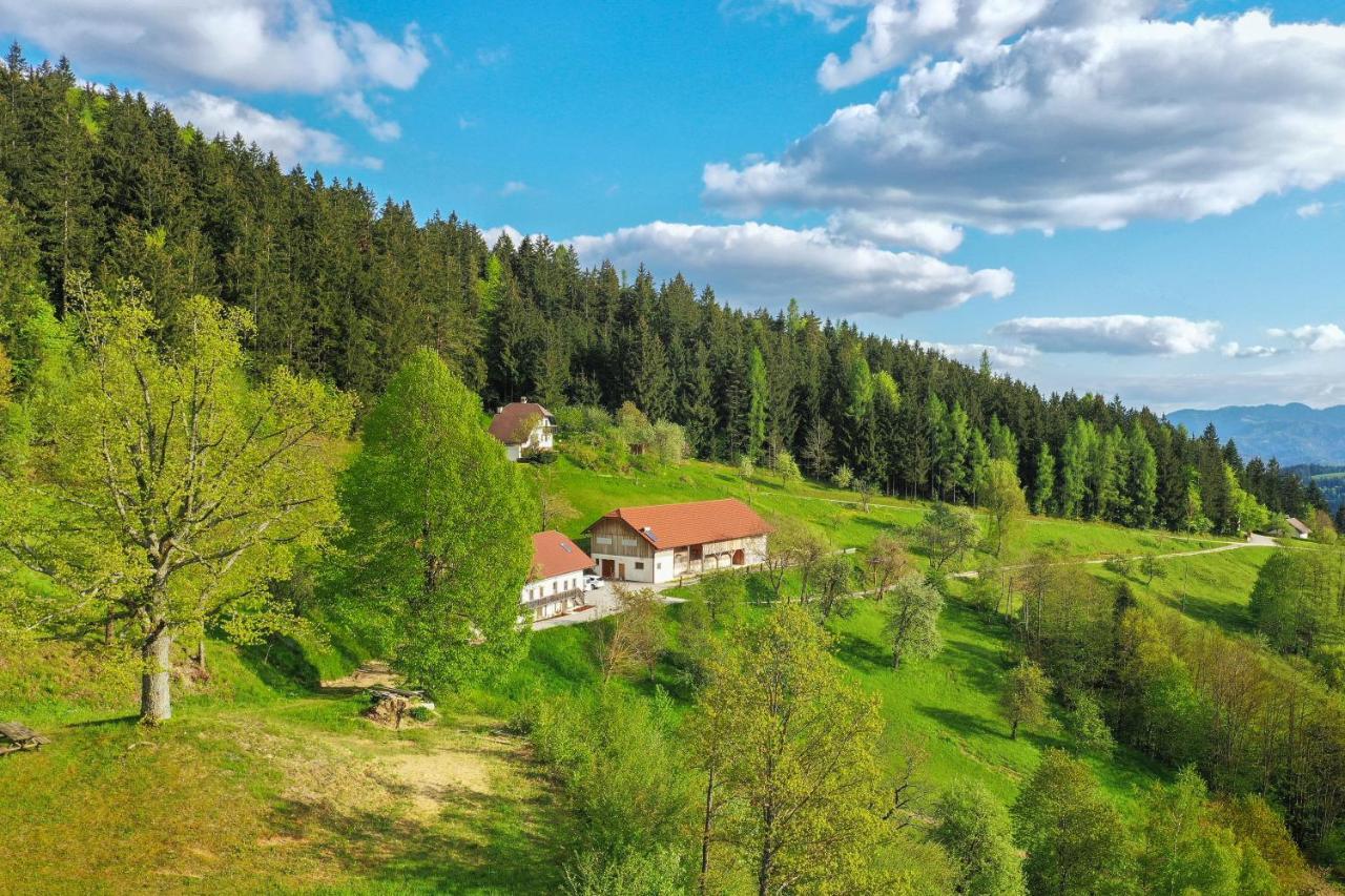 Villa Richterberg With Sauna & Hot Tub スロヴェニ・グラデツ エクステリア 写真