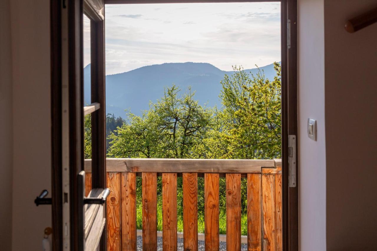 Villa Richterberg With Sauna & Hot Tub スロヴェニ・グラデツ エクステリア 写真