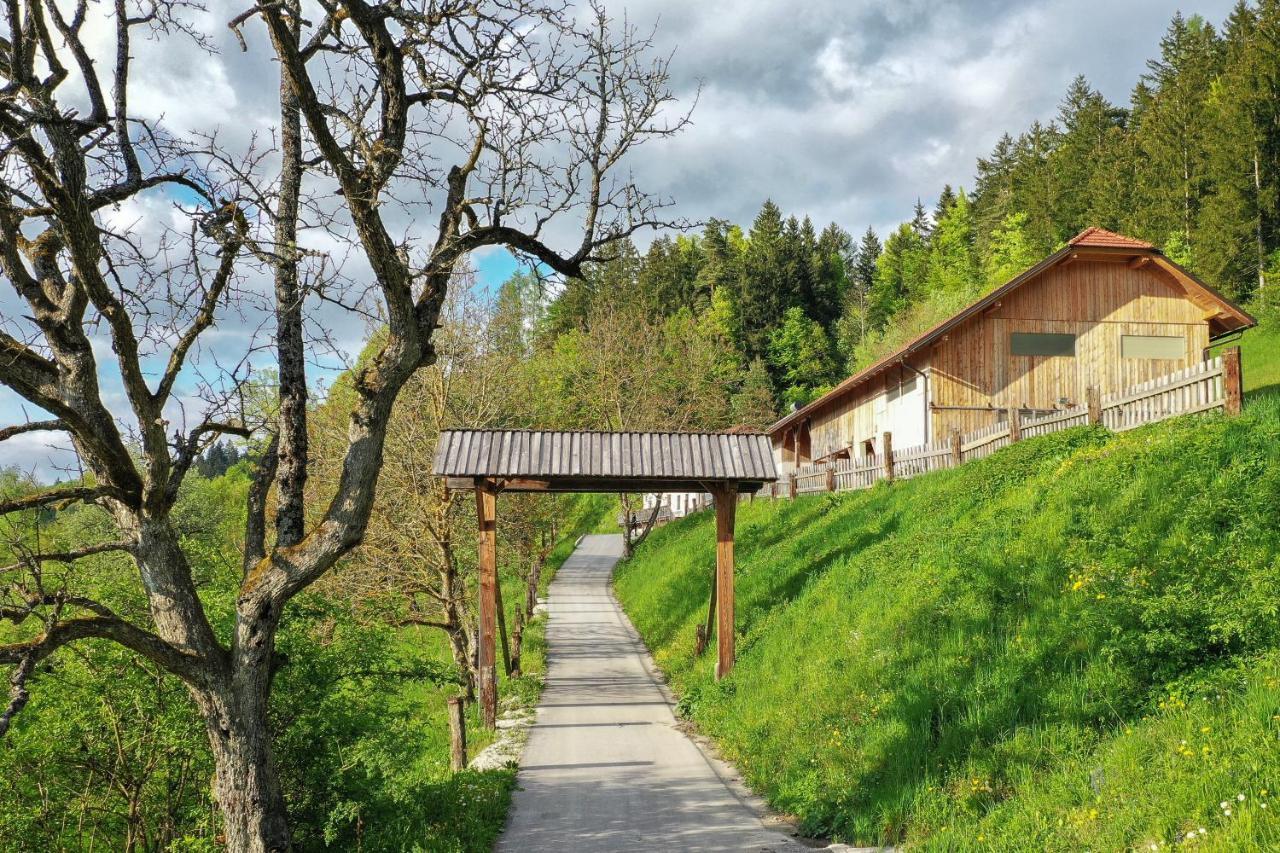 Villa Richterberg With Sauna & Hot Tub スロヴェニ・グラデツ エクステリア 写真